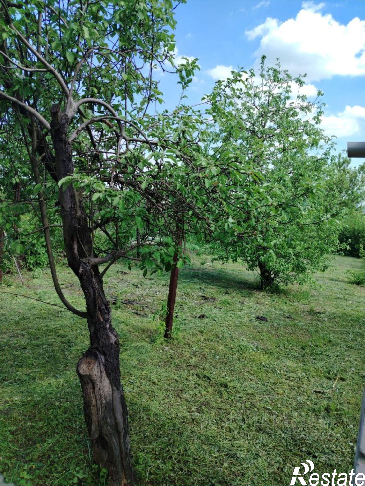 Купить дачу, дом, коттедж за 11 600 000 рублей на ул Буденного, 190