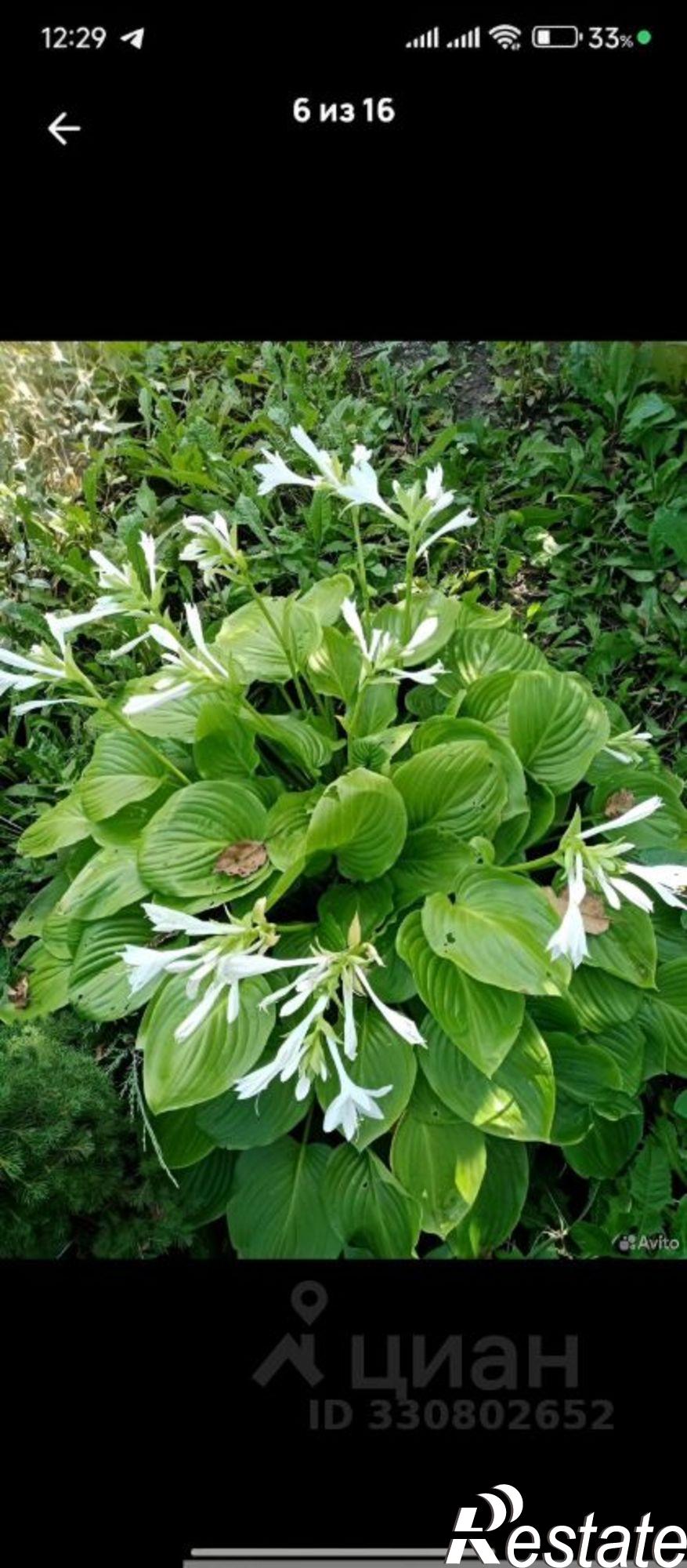 Купить дачу, дом, коттедж за 270 000 рублей на СНТ Венера, 19/62